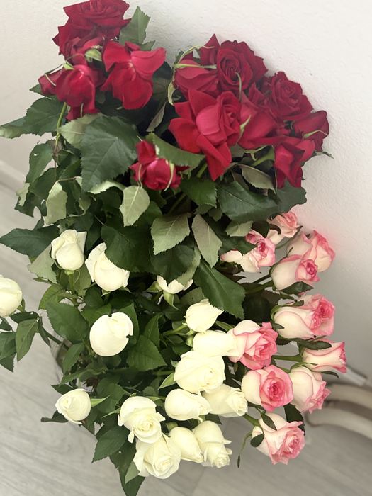 свежие цветы город алматы