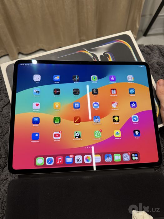 iPad Pro 13 inch M4 (512 GB)