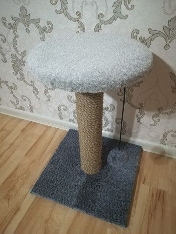 Когтеточки для кошек