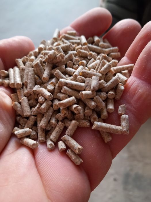 Furaj granulat faza 1 pentru purcei