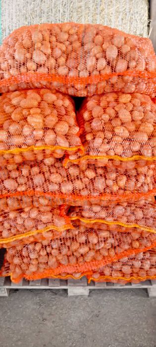 Vând cartofi consum și sămânță