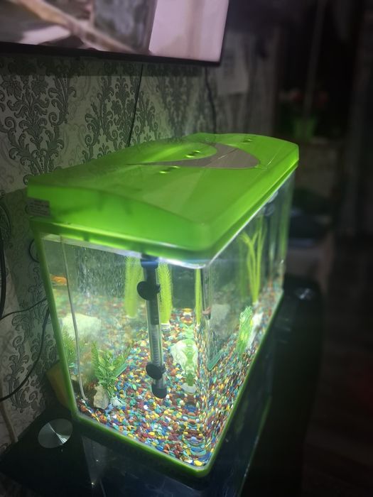 Аквариум заводской