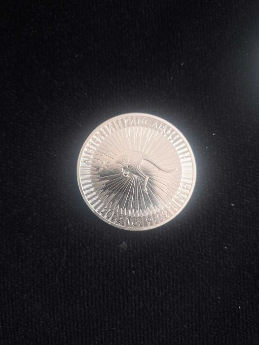 Monede argint investitie