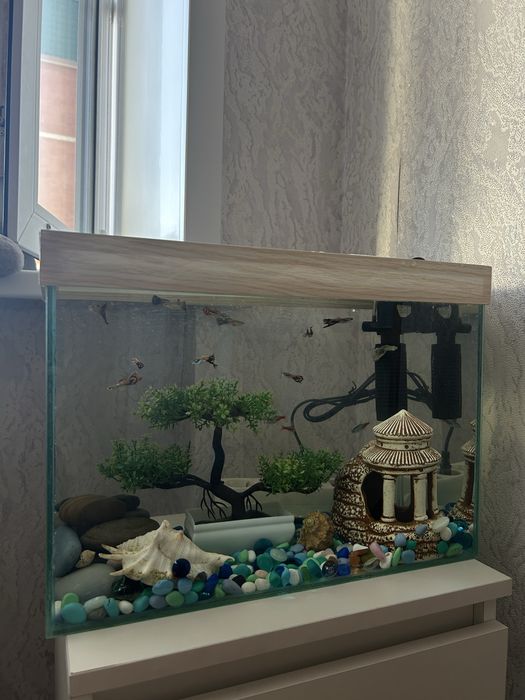 Продам аквариум 25 литров