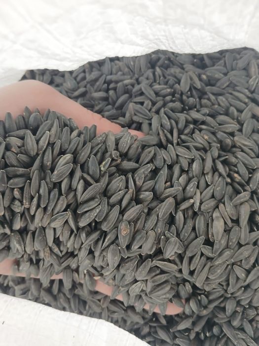 Samanta Floare Lidea Vrac