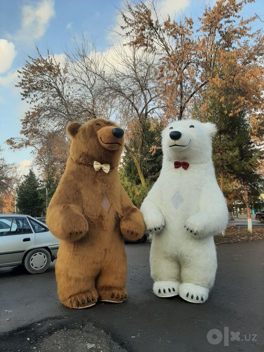 Ayiqlar xizmatingizda 3,5 metr Original