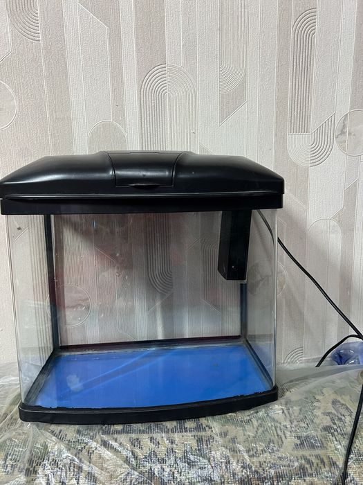 Аквариум для интерьера