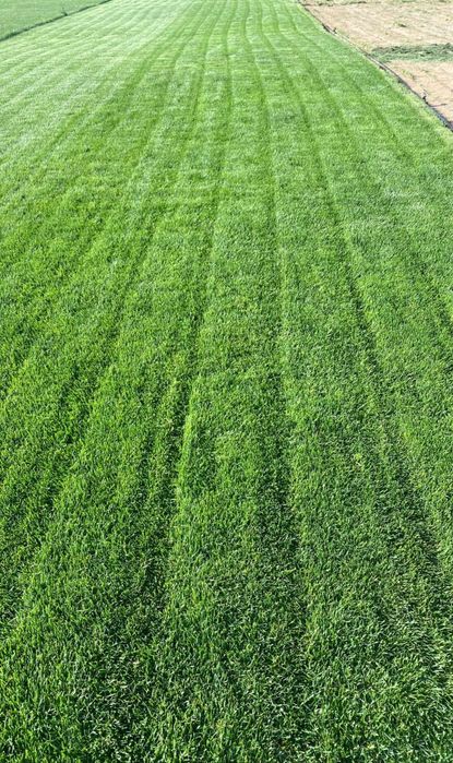 Gazon lanshaft archa va gular