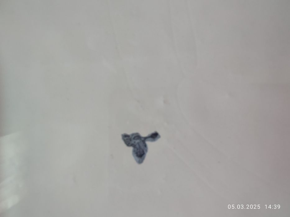 Блюдо эмалированное, советское 41,5 см,