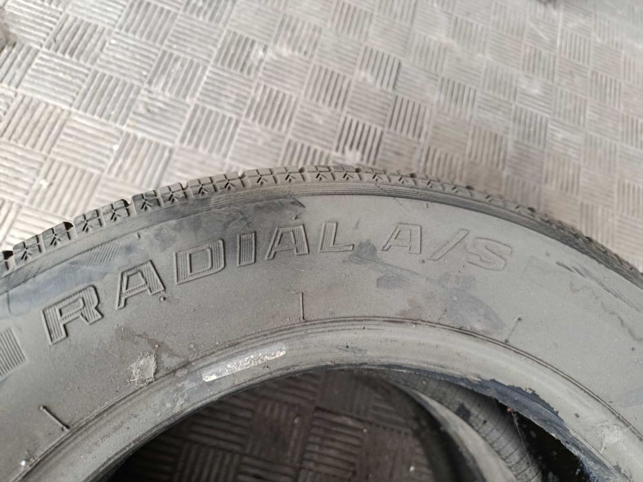 Radial шыны летние