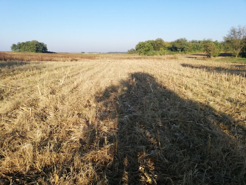 Teren extravilan (agricol Arabil)