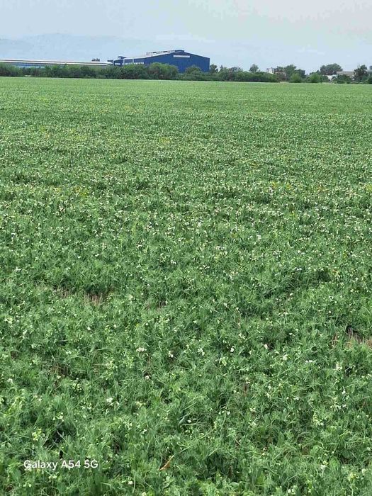 Продава се Парцел в Пловдив, Индустриална зона - Север - 7962 кв.м за 19 €/кв.м - Снимка #4