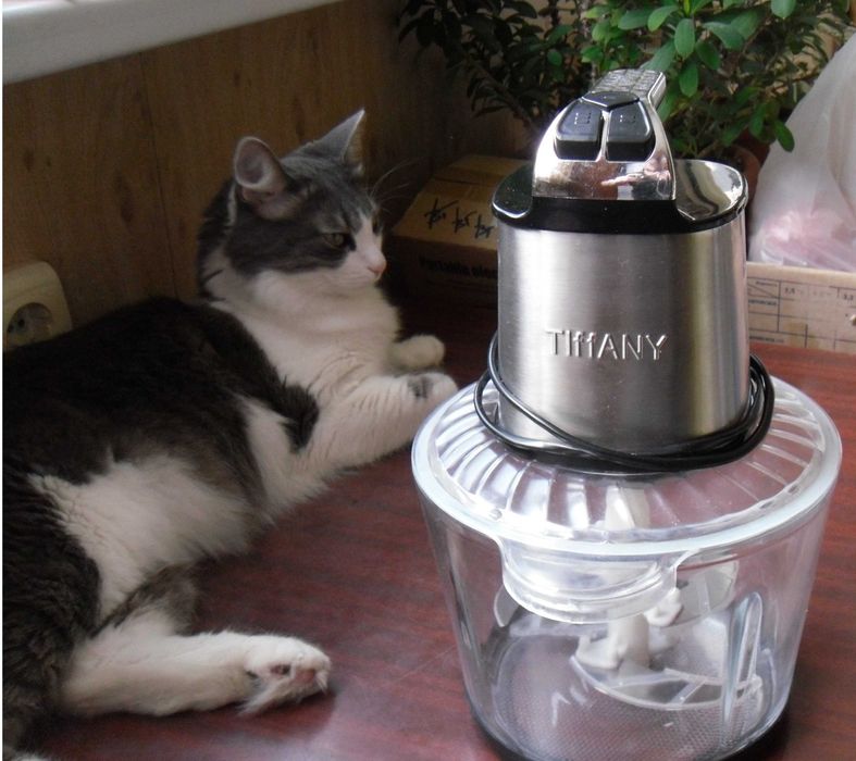 Электрический измельчитель