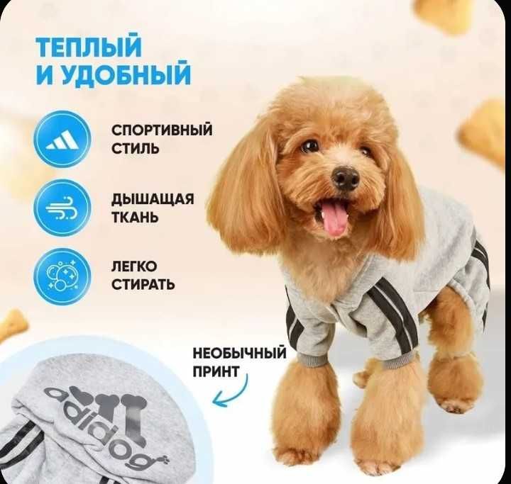 Одежда для собак