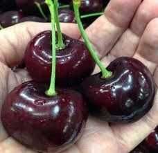 Черешни плодоносящие, Черешни крупномеры Алматы и область