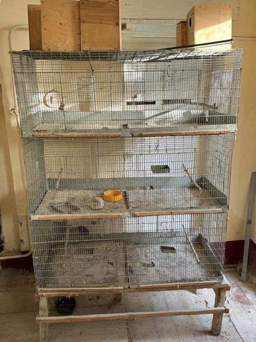 Qafaslar qush uchun kletkalar