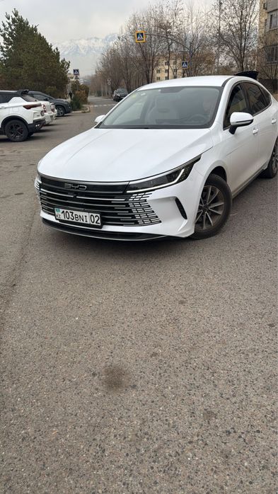 Аренда гибрид машины BYD 2025