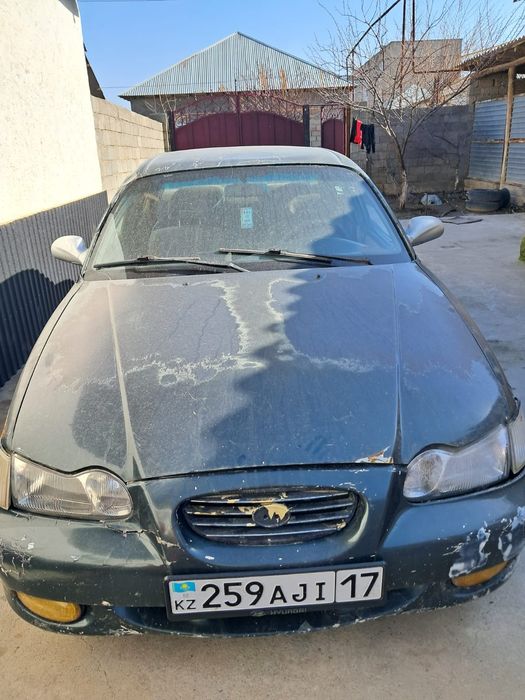 Продам рабочую лошадку