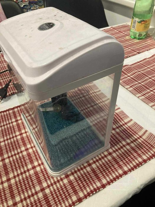 Аквариум за риби