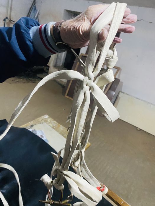 Жүген өмілдірік құйысқан