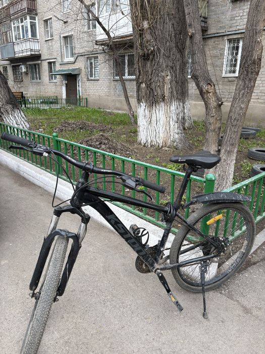 Велик   Kston…..