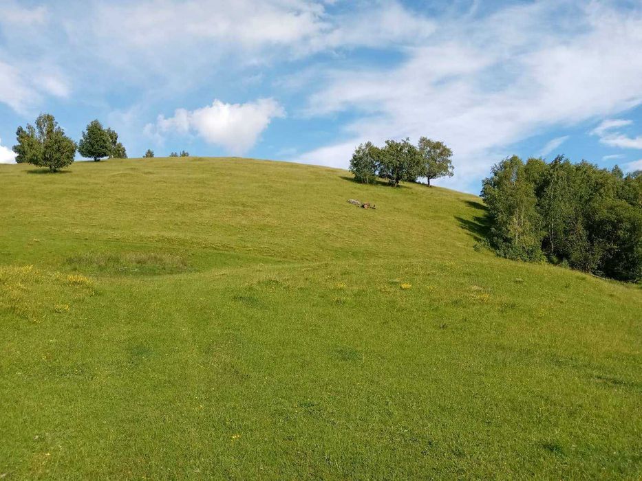 Vând teren Târsa, Bosorod