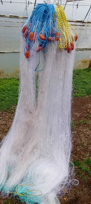 Setca pește,halău,crâsnic plasa