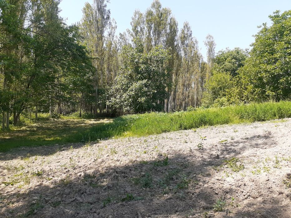 Ер сотилади 10 сотих