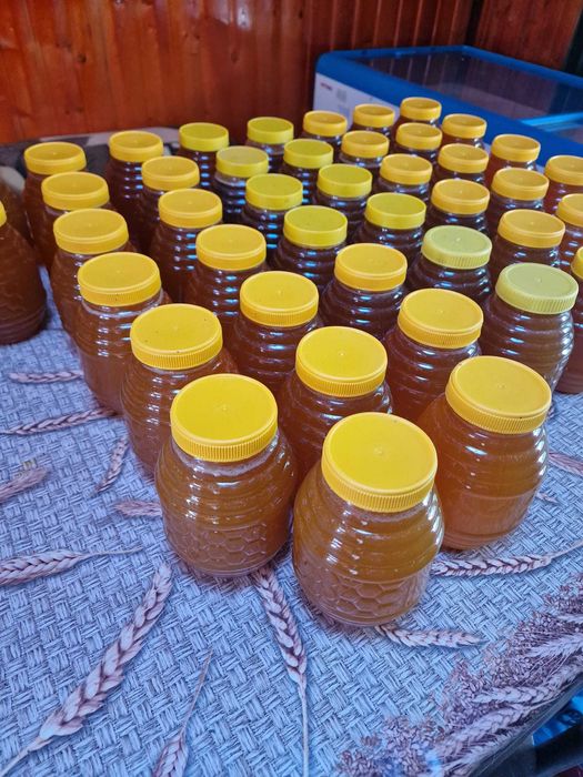 Miere polifloră naturală + Fagure