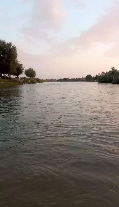 6900$ Участка сотилади 10 сотихли, 5 хонали уйи билан  (1 сотих нархи