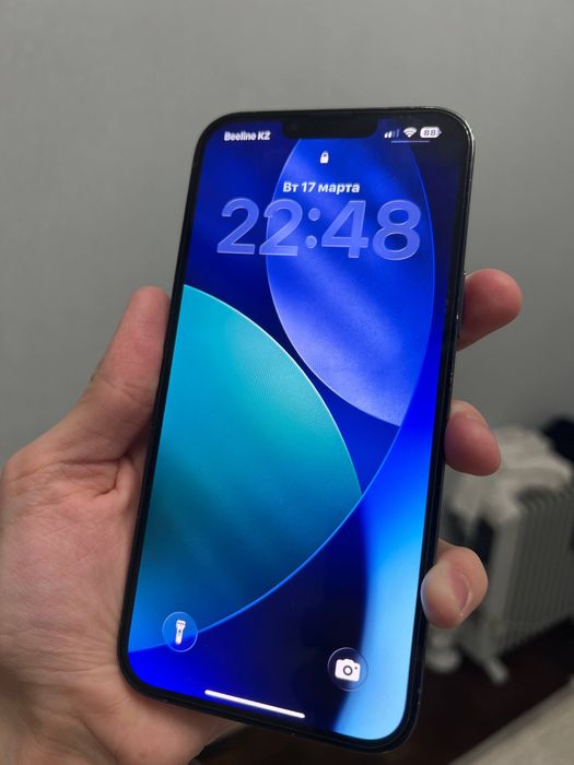 iPhone 13 Pro Max :)