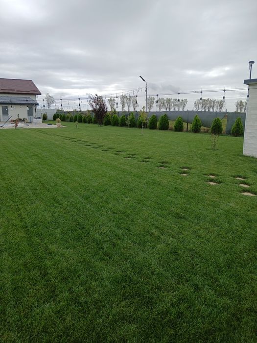 Servicii pentru gradina ta