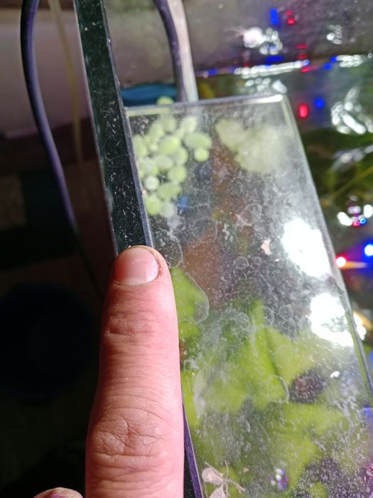 Продам аквариум в сборе