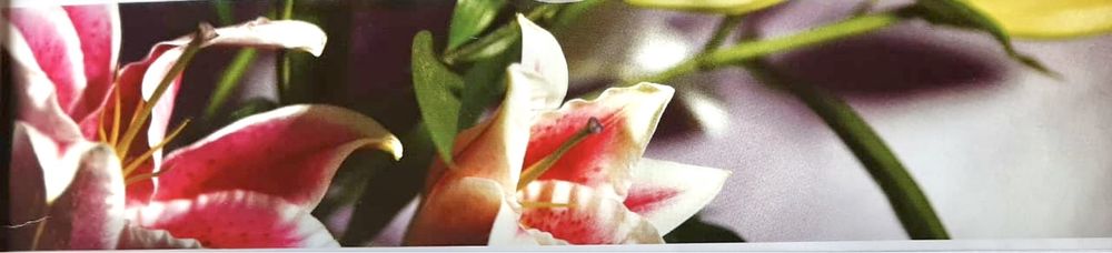 Кухонные фартуки Альбико