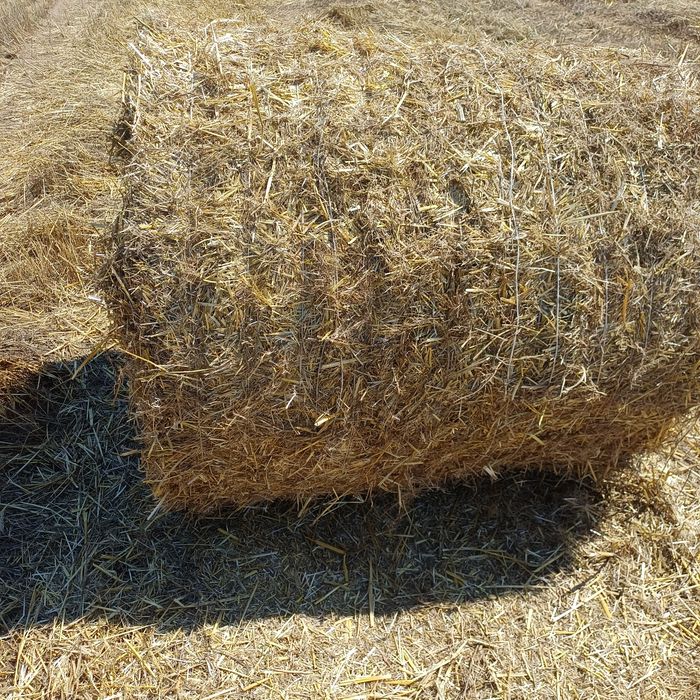 Продам солому пшеничную.