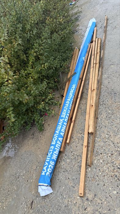 Калада көшеде өсетін терек 30000