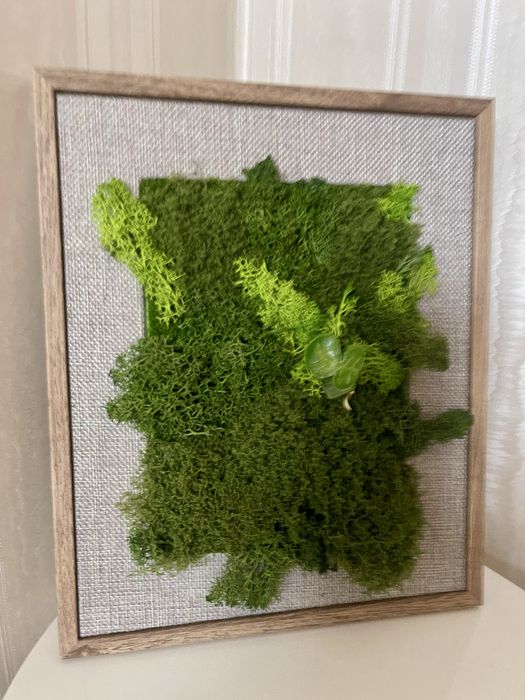 Зелена картина/пано от скандинавски мъх