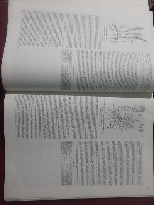 Атлас ареалов и ресурсов лекарственных растений СССР