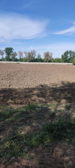 Земля в аренду посев сад огород