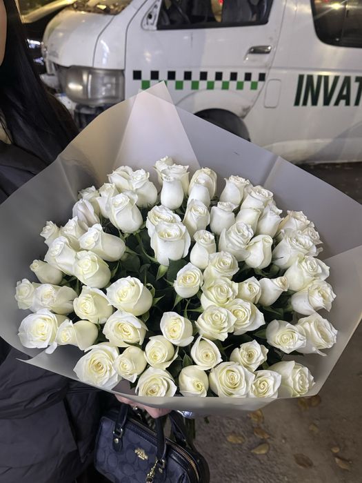 Свежие розы 65шт