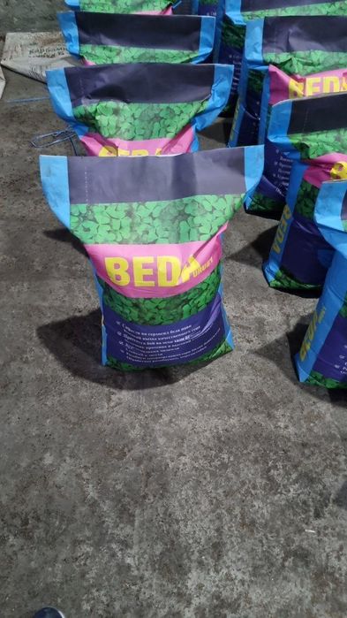 Жонышка тукум  клевр