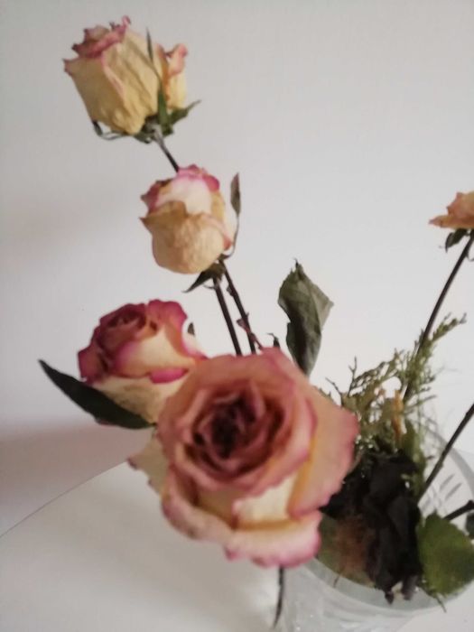 Сухоцветы розы  нитки полипропиленовые прочные фермуар колечки ремень