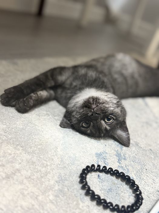 В любящие руки девочка