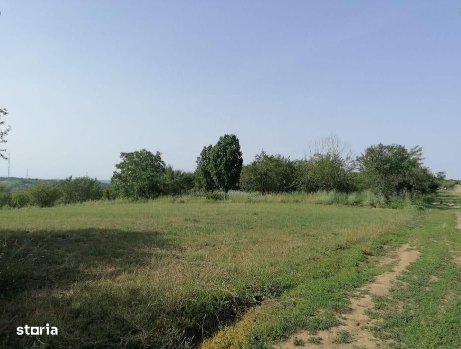 Teren De Vanzare Saldabagiu De Munte