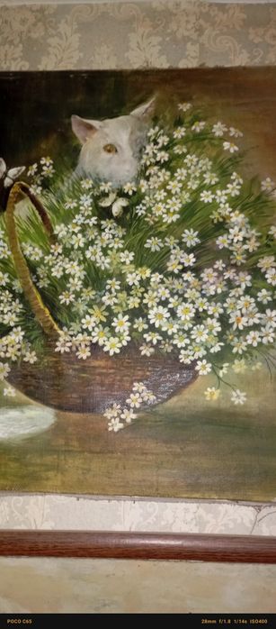 картина с белым котом, который смотрит  из за корзины цветов.