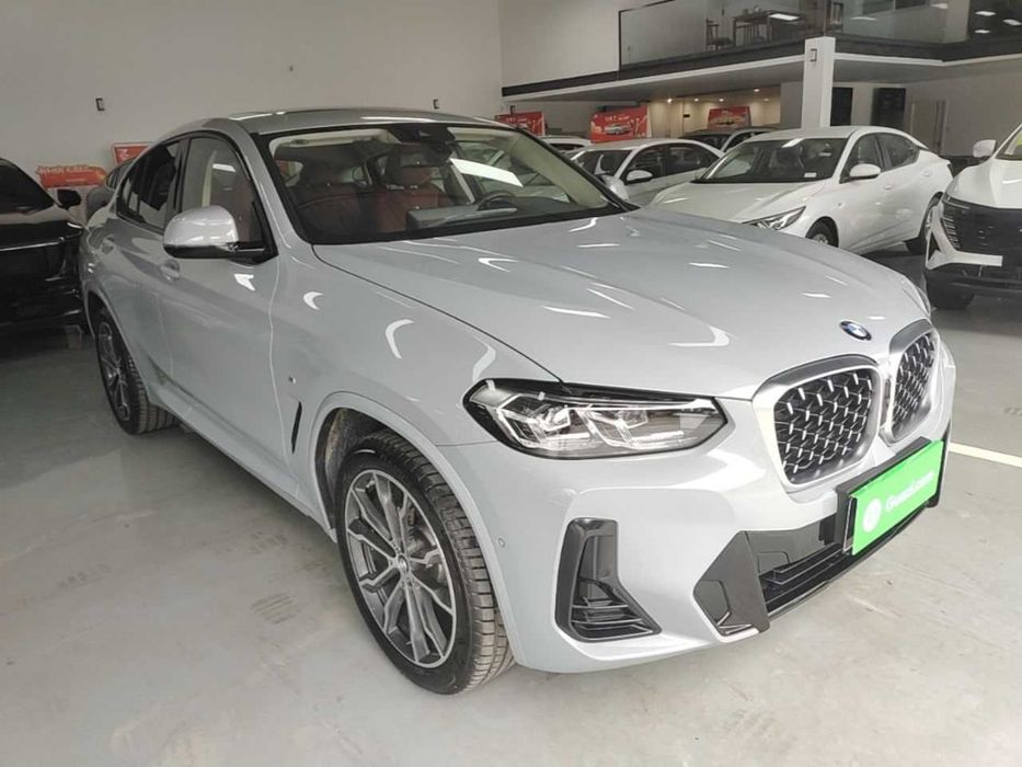 BMW X4 xDrive 30i M Sport Package