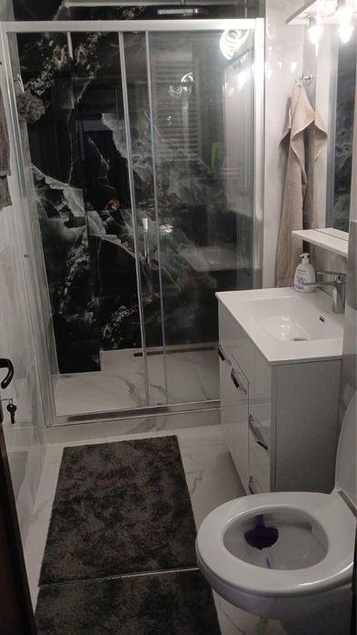 Prima inchiriere, 2 canere Doamna Ghica