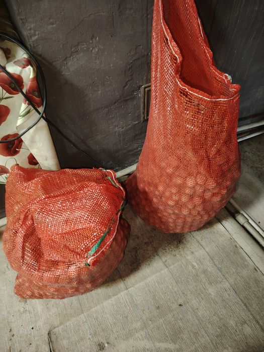 Орехи грецкие свежие