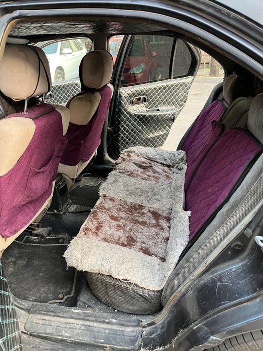 Ниссан примера р 10