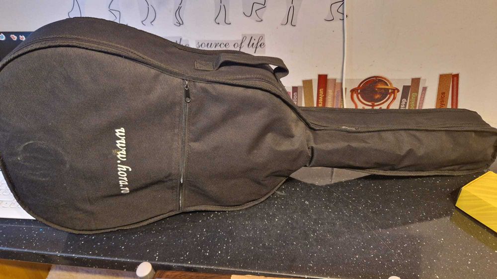 Chitara HORA Reghin W 12204